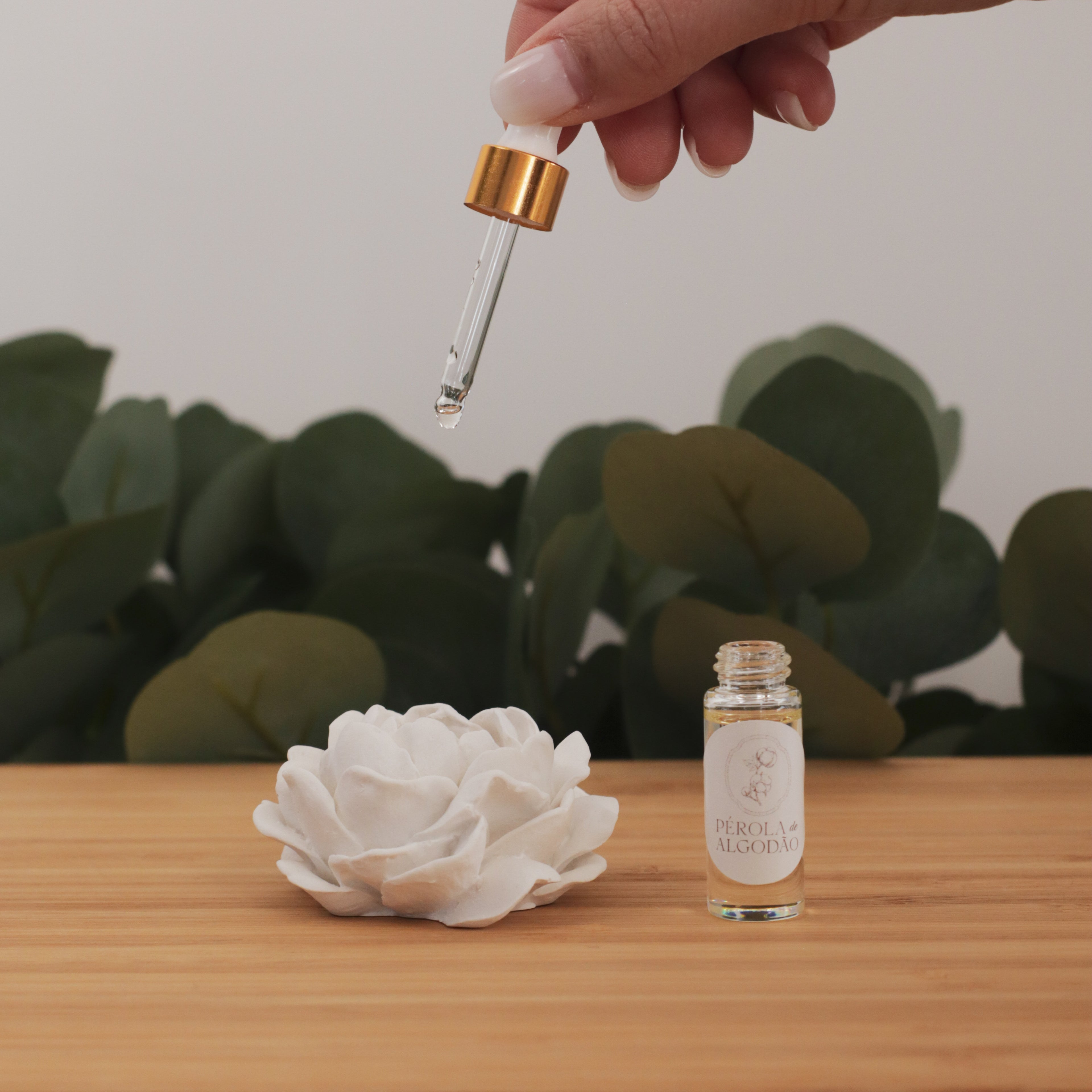 Recarga Gesso 5 ml