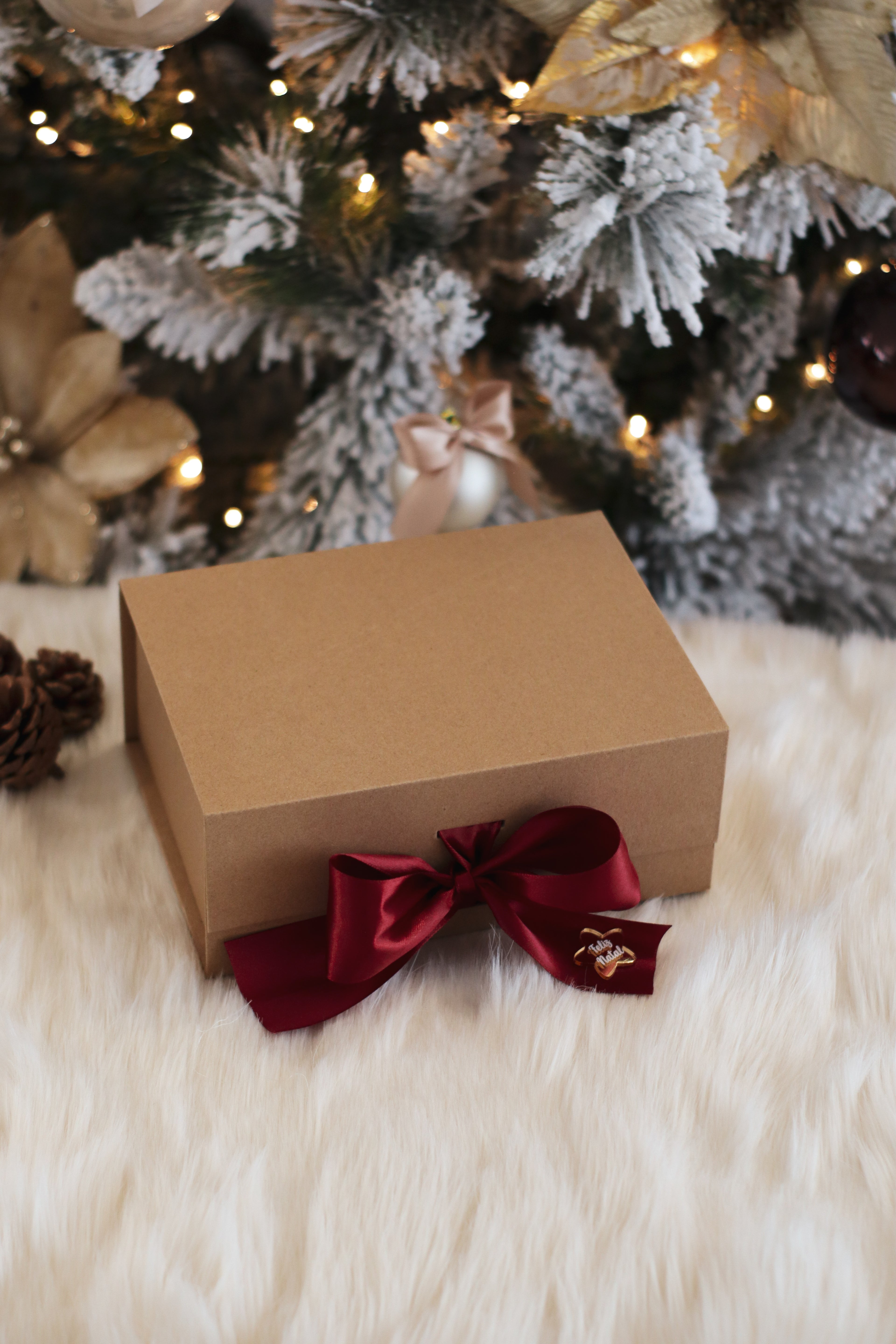 Presépio Delicado em Caixa